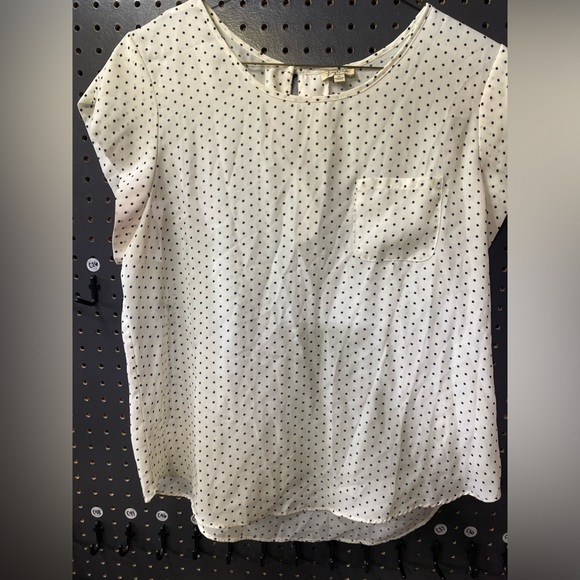 Lily white beige w/ black polka dots size xl used - Picture 1 of 3